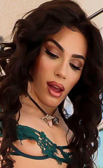 Trans Pornstar Harem - Image 5